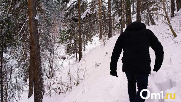 1570 туристов зарегистрировали маршруты в 2025 году в Новосибирской области