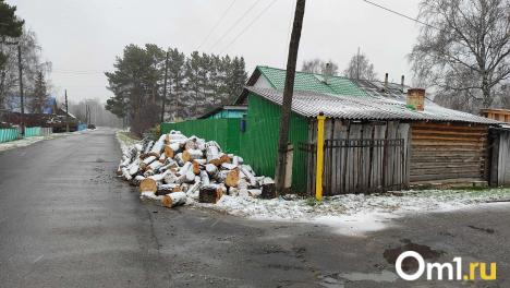 В Омской области обнаружили ещё два очага бешенства