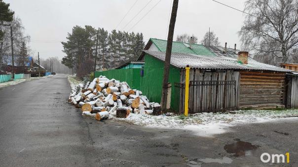 В Омской области обнаружили ещё два очага бешенства