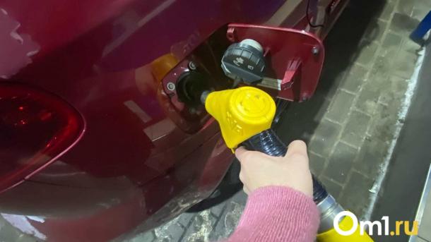 В Омске перед Новым годом упали цены на бензин