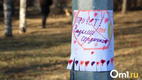 Мэрия хочет доносить до омичей новые правила благоустройства