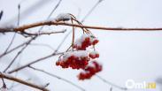 В Омск придёт холодный фронт с Казахстана: на выходных в регионе ожидаются мощные морозы