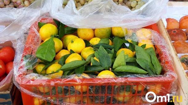 В Омскую область из Казахстана привезли 11 тонн мандаринов с карантинным вредителем