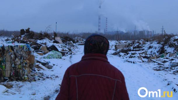 Омская область оказалась в анти-топе экологического рейтинга