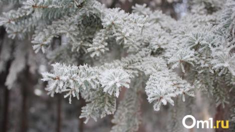 В Новосибирске к выходным ожидаются снег, метели и резкое похолодание