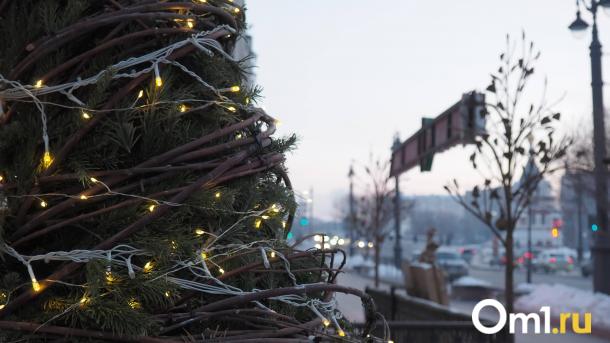 Когда отступят морозы в Омской области? Прогноз на ближайшую неделю
