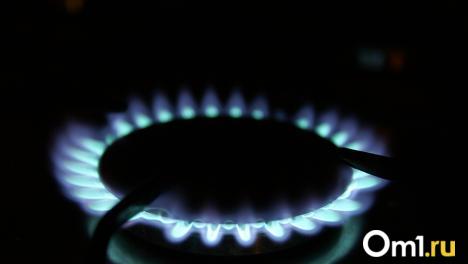 До 2029 года газ придёт в 64 населённых пункта Новосибирской области