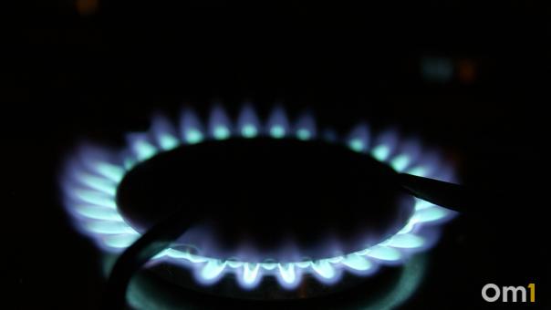 До 2029 года газ придёт в 64 населённых пункта Новосибирской области