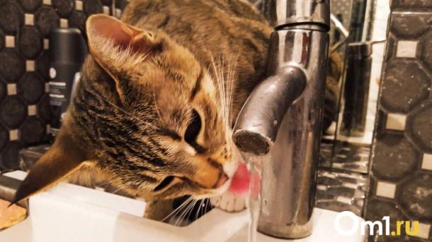 Омичи останутся без холодной воды на целый день: адреса отключений