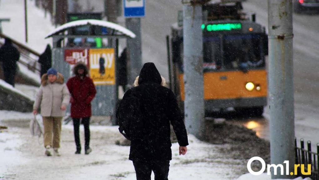 В Томске планируют поставить такие же тёплые остановки, как в Омске