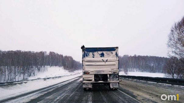 МЧС предупреждает: в Омской области ожидается снег, метель и сильный ветер