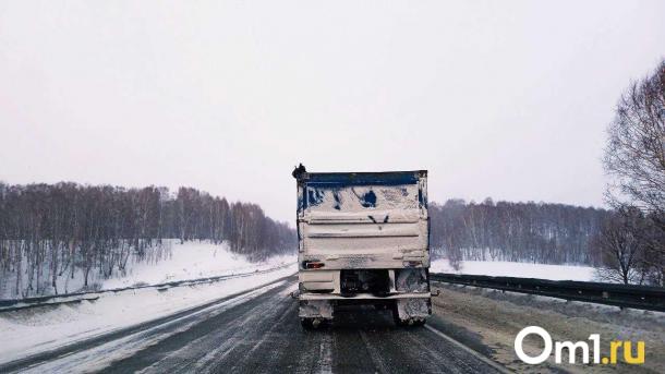 МЧС предупреждает: в Омской области ожидается снег, метель и сильный ветер