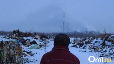 Новосибирская область на 70-м месте экологического рейтинга