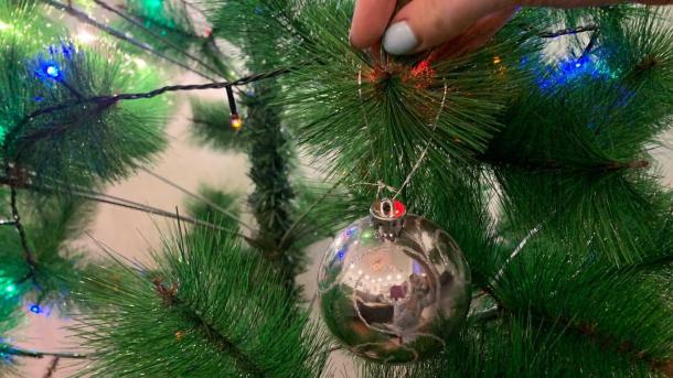 Новосибирцам рассказали, когда лучше покупать новогоднюю ёлку