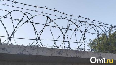 В Новосибирской области депортируют и выдворяют 74 иностранца за нарушения миграционных правил