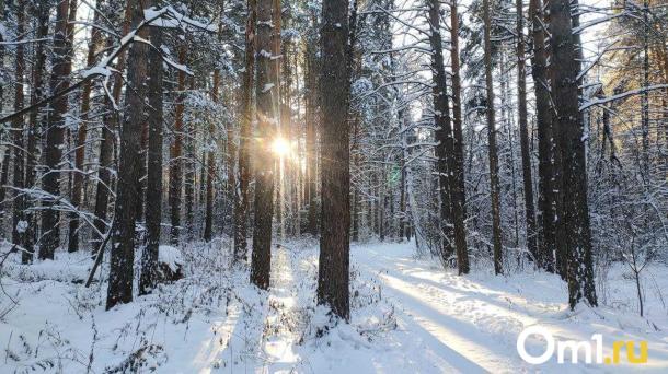 Холод отменяется? После суровых морозов в Омск придёт мощное потепление