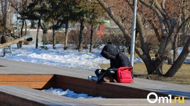 В Омске под запрет продажи вейпов попадёт каждый пятый ТОК