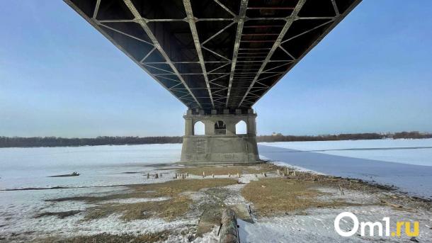 Суд обязал омскую компанию выпустить в Иртыш осётра или стерлядь