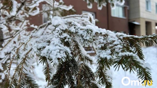 Встречаем Новый год со снегом и оттепелью: прогноз для Омской области