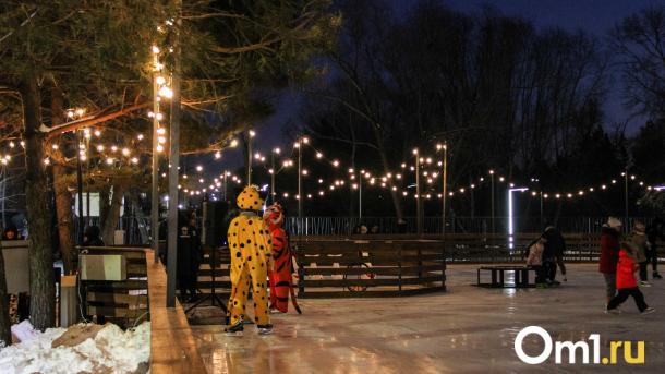 Синоптики рассказали, какая погода ждёт омичей на январских каникулах