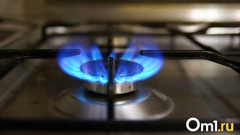 В Омской области утверждена программа газификации до 2030 года