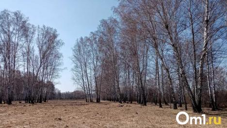 Мэрия сдаёт в аренду пустырь в очень интересном месте