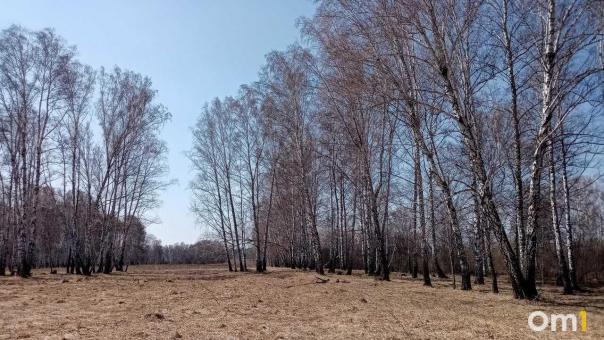 Мэрия сдаёт в аренду пустырь в очень интересном месте