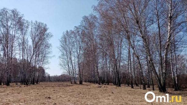 Мэрия сдаёт в аренду пустырь в очень интересном месте