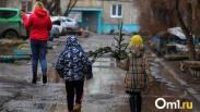Дождь в декабре: в Омске перед похолоданием пришла оттепель и метель