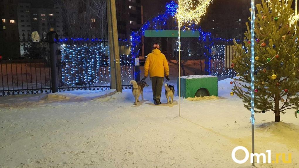 110 питомцев потерялись в Омске за праздники в прошлом году: как защитить своего