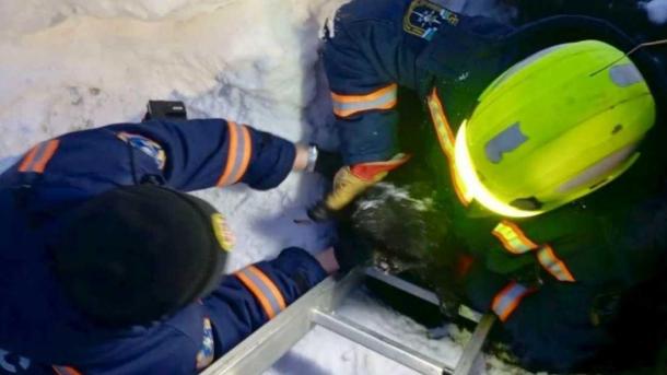 В Новосибирске спасатели вернули хозяйке питомца, упавшего в канализационный колодец