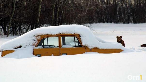 С омских улиц начали убирать брошенные автомобили-«подснежники»