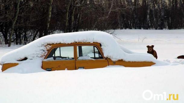 С омских улиц начали убирать брошенные автомобили-«подснежники»