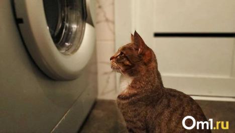 В Омске зоомагазин продавал лекарства без лицензии