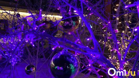 Омичам рассказали, за какие новогодние украшения на автомобиле могут оштрафовать