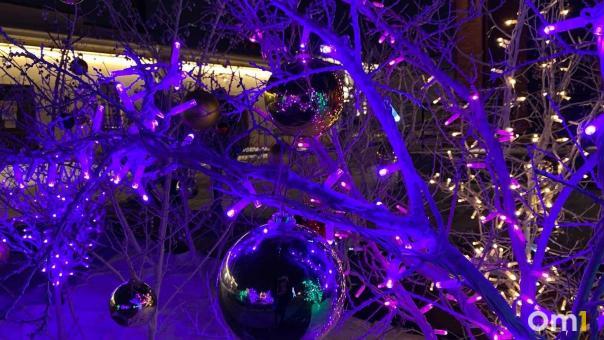 Омичам рассказали, за какие новогодние украшения на автомобиле могут оштрафовать