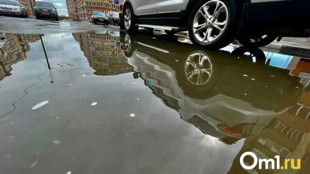 В Омске могут открыть автохаб с подержанными машинами