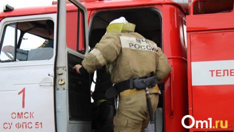 В омском лицее № 66 загорелся телефон школьницы