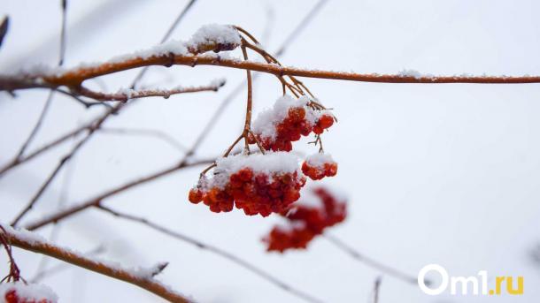Царство холода: в Омской области температура упала до -37