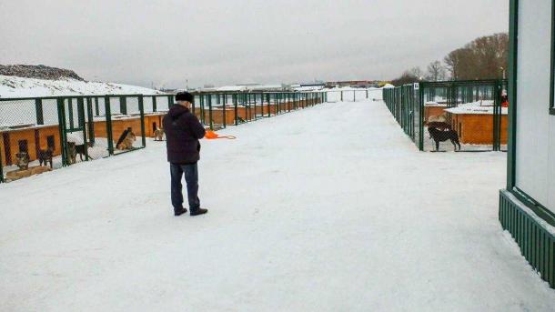 В Новосибирске построили приют для бездомных животных за 34 миллиона рублей