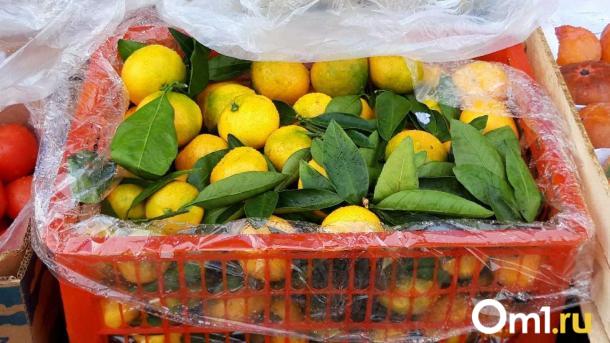 В Омске нашли 20 тонн заражённых мандаринов. Куда их дели?