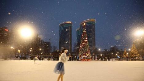 Новосибирск и три района поборются за звание лучшей ёлки России