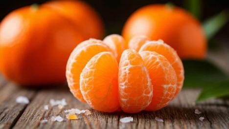 Кинологи: мандарин для собаки — не лакомство, а игра