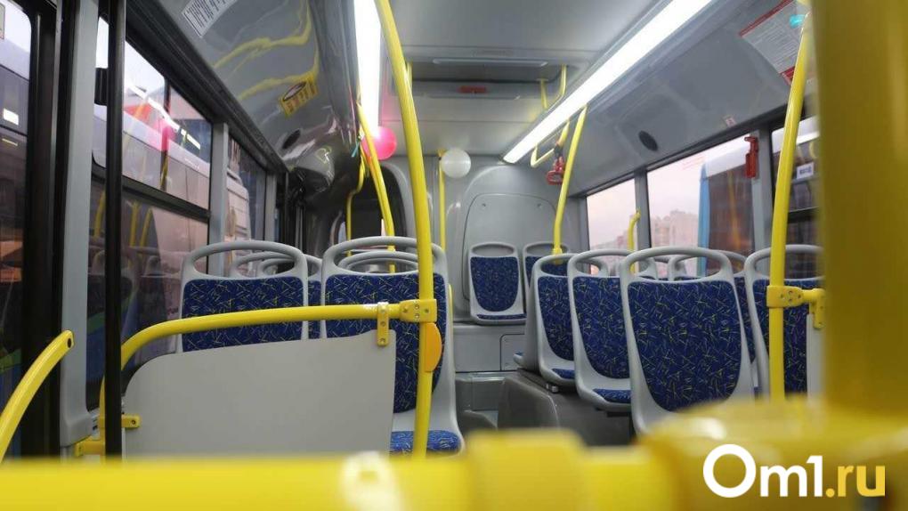 Омичей в новогоднюю ночь развезут на городских автобусах