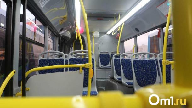 Омичей в новогоднюю ночь развезут на городских автобусах