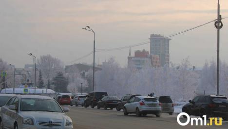 В Омской области с 1 января 2026 года вырастут предельные тарифы на техосмотр