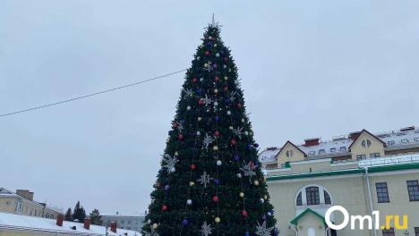 В Омской крепости зажгли главную городскую ёлку