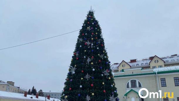 В Омской крепости зажгли главную городскую ёлку