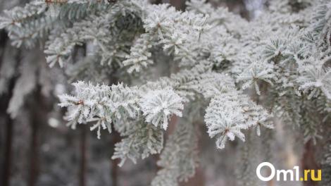 Стало известно, какая погода ждёт новосибирцев на новогодней неделе