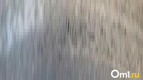 Водителей Новосибирска ждут новые знаки: что изменится на дорогах в 2026 году?